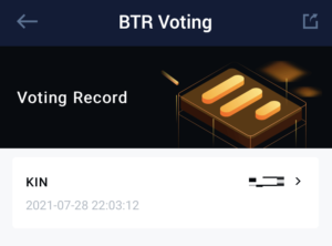 BTR Voting参加手順